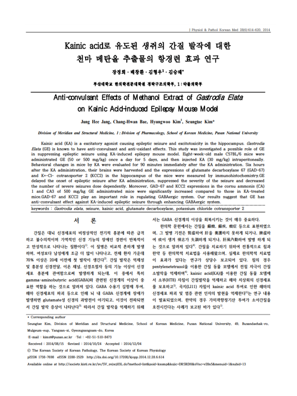 sub-adult-epilepsy-effect-img-05