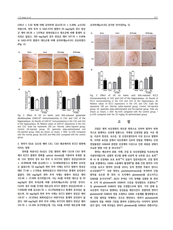 sub-adult-epilepsy-effect-img-06