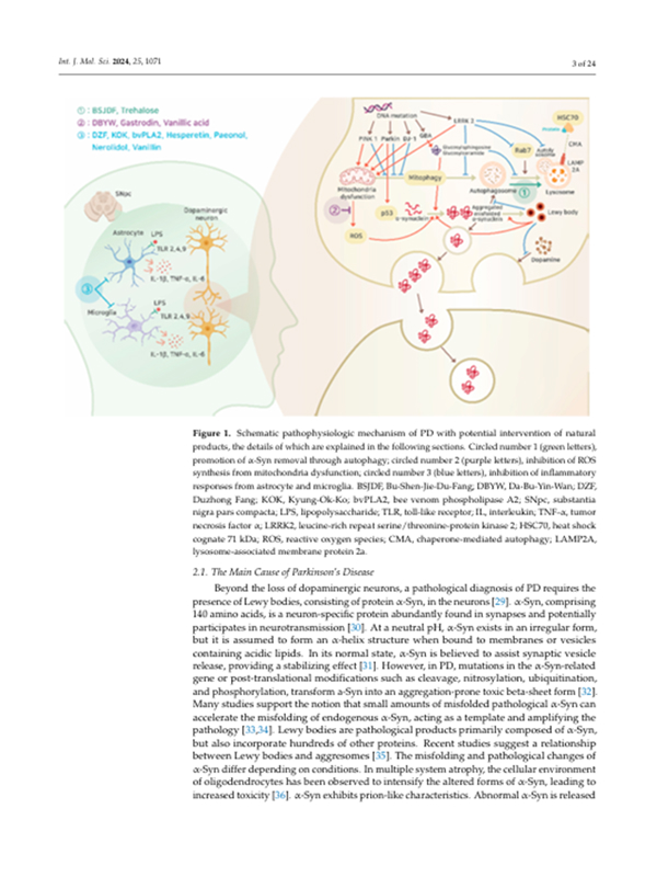 sub-parkinsons-disease-effect-img-04